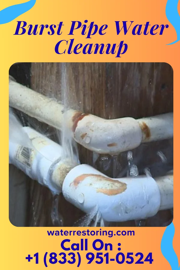 Burst Pipe Water Cleanup in Greensburg, IN