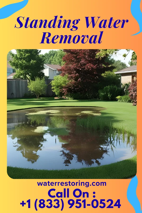 Standing Water Removal in Greensburg, IN